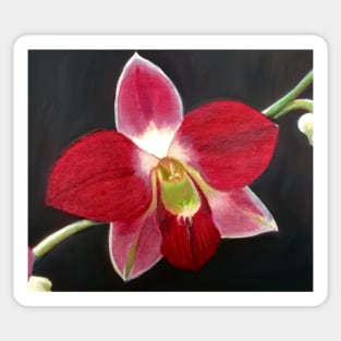 Blooming Red Orchid Sticker